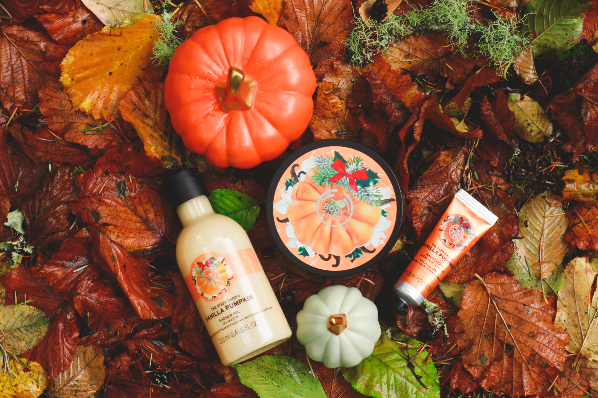 Reminiscing on Autumn | kristinasuko.com